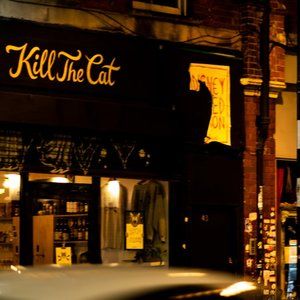 KILL THE CAT ART